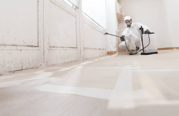 24/7 Emergency Bathroom Mold Removal experts in Great Falls, VA