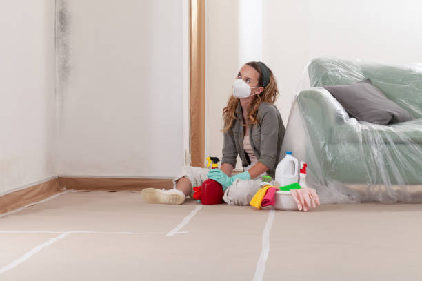 Reliable Bathroom Mold Removal contractor in Great Falls, VA by WQB Mold Removal